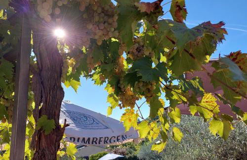 Freundliches Haus mit Pool und großem Garten - Foto 11