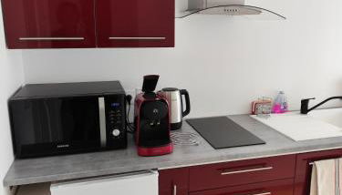 APPARTEMENT CHALEUREUX aux portes de Paris - Foto 2, stove