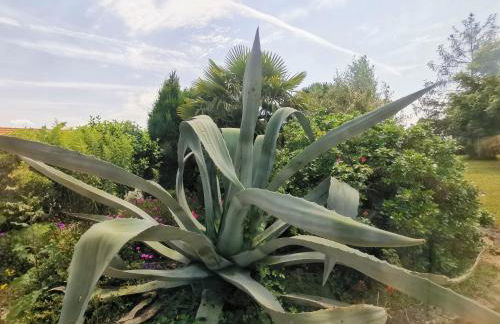 Gîte Natura Bella - Foto 27