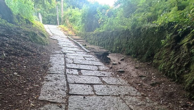 7 Días Camino Tui a Santiago de Compostela - Foto 3