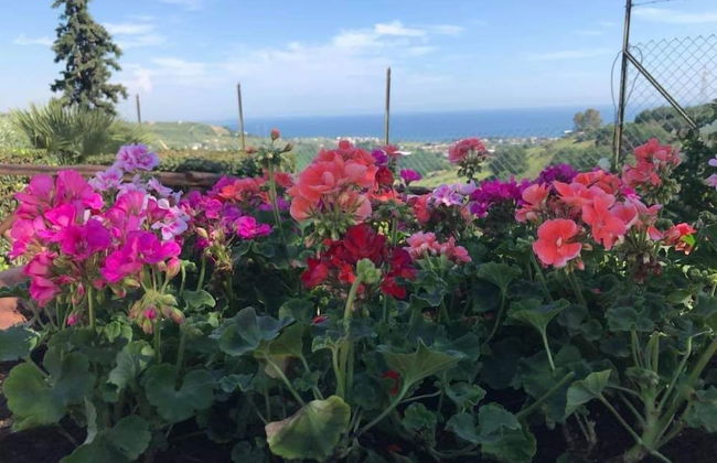 I Cardinali - Foto 44