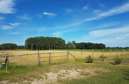 Le Bonheur est dans le Pré. - Foto 11