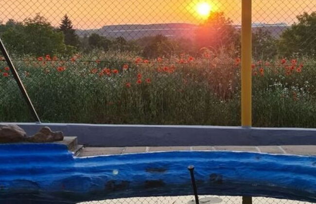 Haus Elfi Modern Retreat - Foto 10