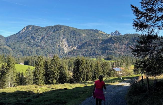 Chalet Hirschbach - Photo 69