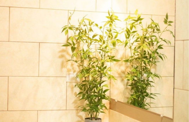 Cabañita Villa de Ada - Foto 5