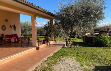 La tana dei Ricci - Foto 7