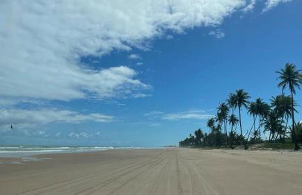 Apartamento Doce Lar Resort Treebies Subauma - Foto 8