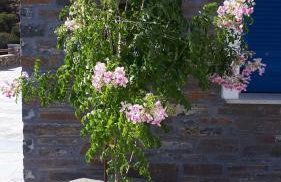 Villa Gabriela - Foto 13