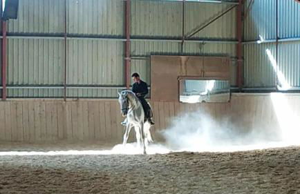 Ecurie Le Pas du Loup - Foto 15