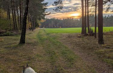 Domek Bory Tucholskie laso przestrzeń - Foto 33