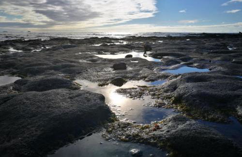 Marea Alta - Foto 28