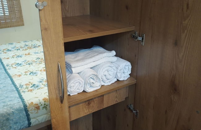 Daisy Duplex - Photo 6