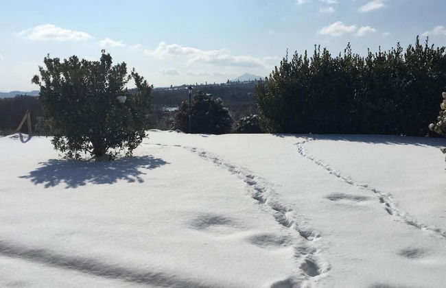 Agriturismo Podere Casa al Vento - Photo 44