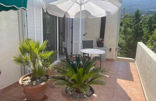 Carpe Diem - Photo 38