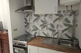 Casa dos trevos - Foto 1