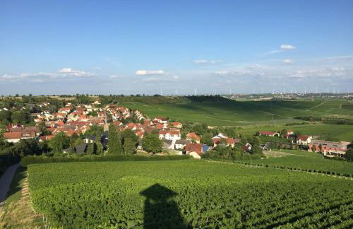 Jakobsruhe - Ferien im Weinparadies - Foto 18