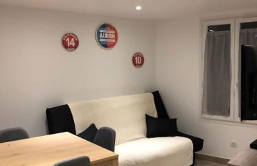 Tout schuss - Foto 11