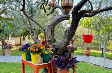 Viki Studios - Foto 17