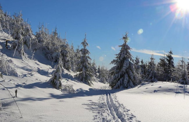 Gemutliches Apartment in Winterberg mit Balkon - Foto 23