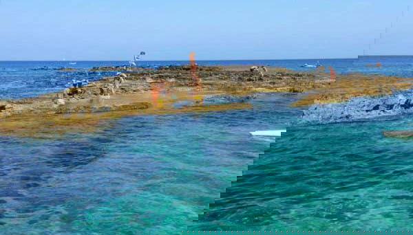 Divertimento assicurato