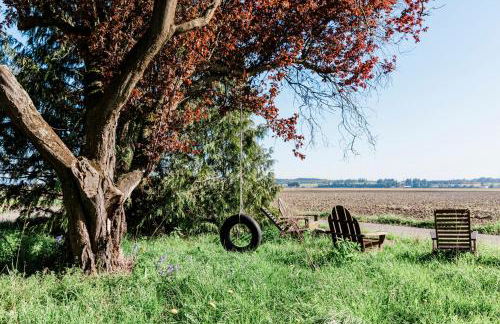 Old Timers' Farm & Ranch - 60 acres, expansive views - Foto 27
