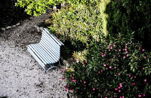 L'Ulivo Bianco - Foto 28