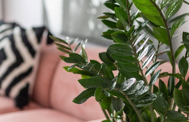 Trendy Warsaw Apartment by Renters - Foto 25