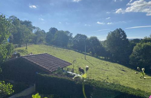 La Casa Azul 2 en Asturias VV-2700-AS - Foto 29