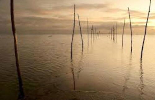 Maison Bassin d'Arcachon - Arès - Proche plage et commerces, 3 chambres, 8 personnes, Climatisation - Foto 28