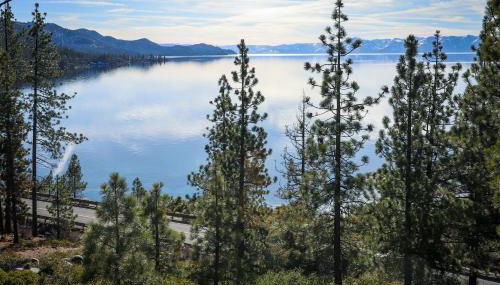 Peace Among the Pines - Foto 4