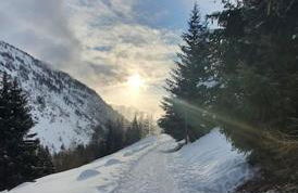 Residenza Sofia - Ponte di Legno fraz. Pezzo - Photo 14