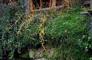 Quinta de Ribas - Foto 5
