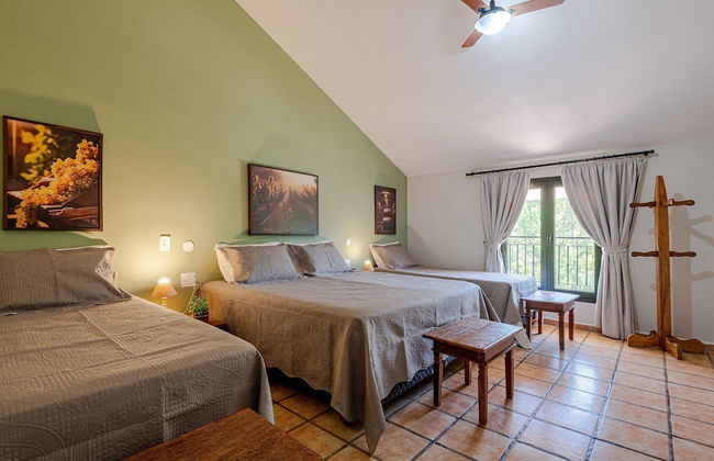 Fazenda Realeza - Foto 11