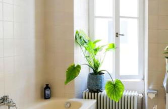 Wohnung mitten im Weinparadies - Foto 13