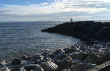 Shelley Beach - Foto 14