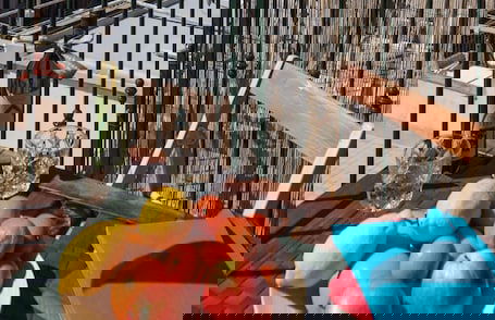 La Torretta dei Merli With Views - Foto 34