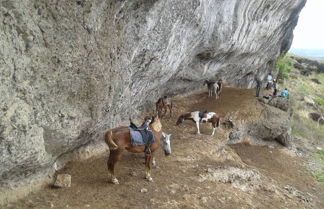 Room in Villa - Outback Retreat Hotel - Foto 13