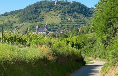 Acapella Suite Adagio 54qm, direkt am Weinberg, Altstadt, Netflix inklusive - Foto 34