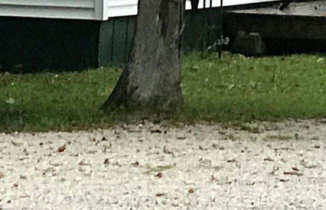 Hills Point Resort - Foto 10