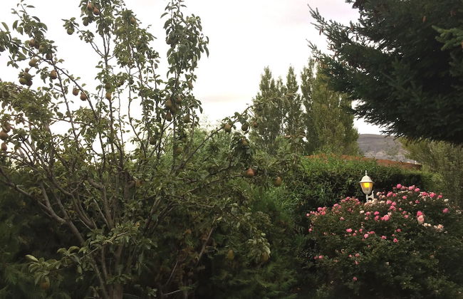 Solares Del Sur Patagonia - Foto 70