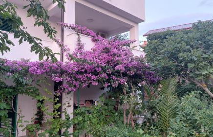 Apartments Plavi&Žuti - Foto 7