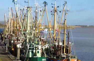 Haus Strandflieder - Foto 24