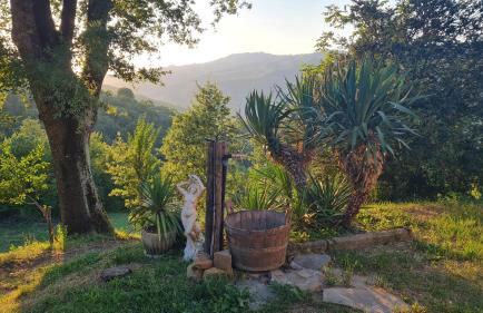 Tana della Lavanda - Photo 54