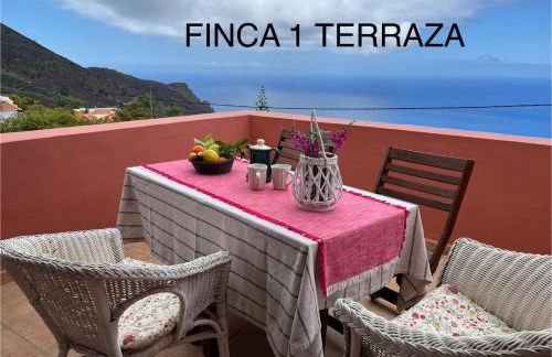 Finca La Calzada - Foto 8