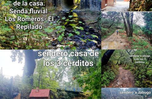 La Casa Junto al Sendero del Río & chimenea y leña incluida - Foto 47