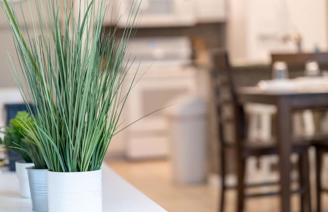 Venetian Beauty - Photo 19