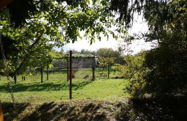 Apartman MARIJETA - Foto 36