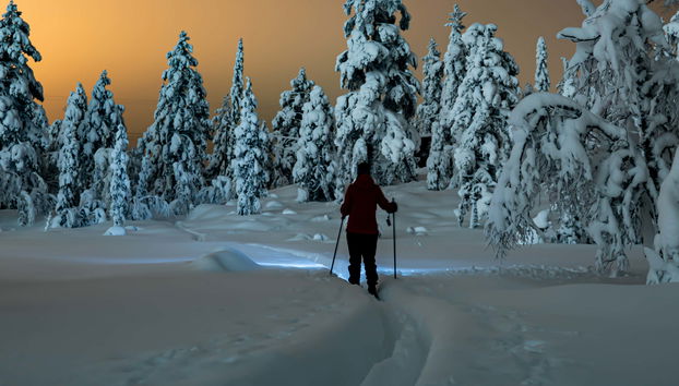 Northern Lights Snowshoeing Tour