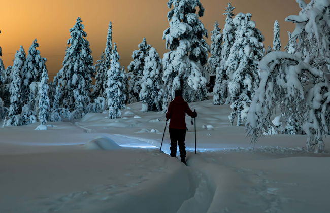 Tour dell'aurora boreale con racchette da neve - Foto 4