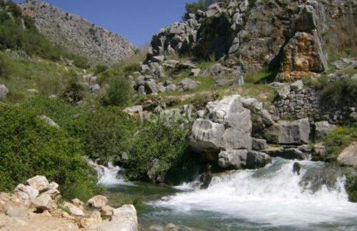 Casa Estacion de Benaojan - Photo 18